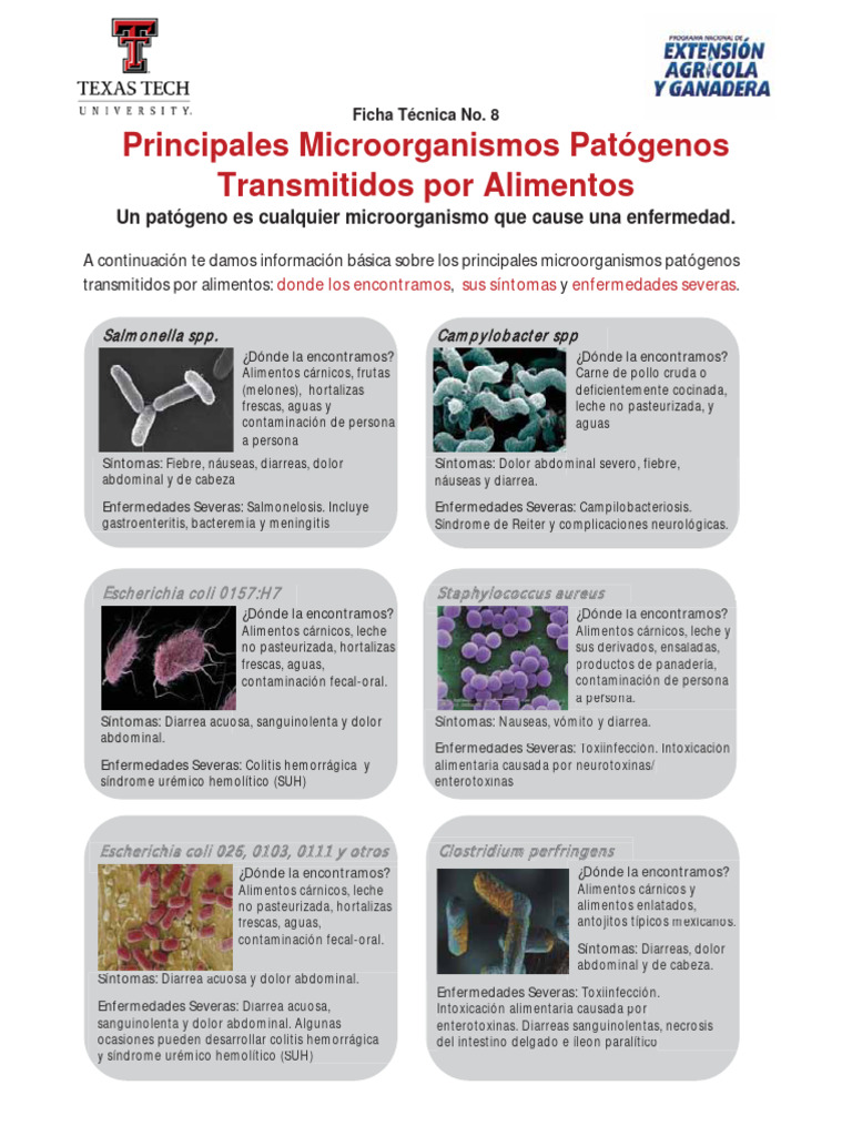 Microorganismos Patógenos en Alimentos | PDF | Diarrea | Enfermedades ...