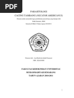 Download Tugas Parasitologi Ayu Rindwitia H2A010008 by Ayu Rindwitia Indah Peanasari SN74982546 doc pdf