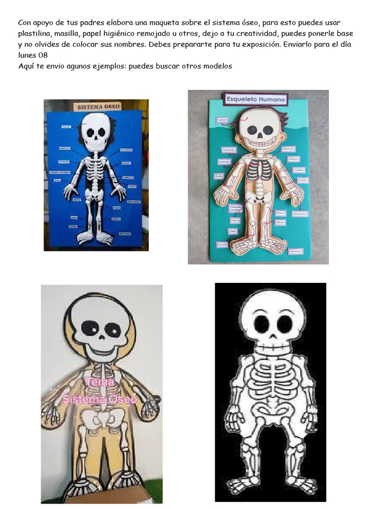 Maqueta Sistema Oseo Pdf