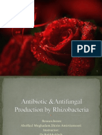 Antibiotic Production by Rhizobacteria