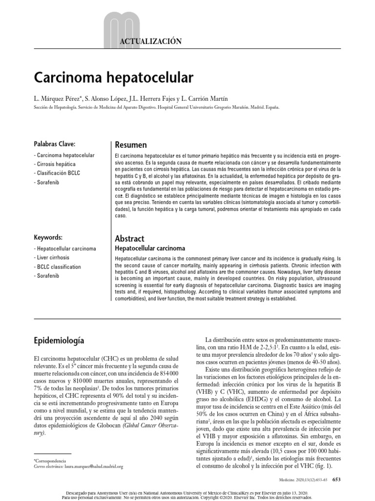 Carcinoma Hepatocelular Pdf Cáncer Ciencias De La Salud