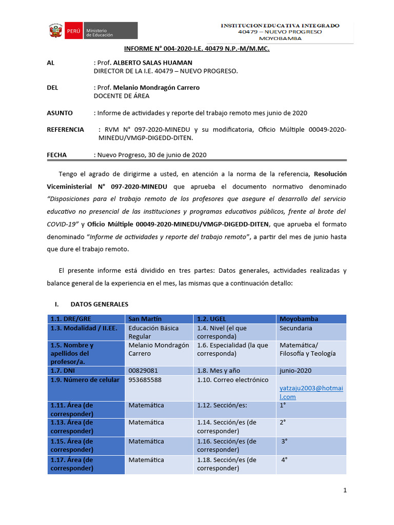 Informe Mensual de Actividades Junio 2020 Melanio SECUNDARIA | PDF ...