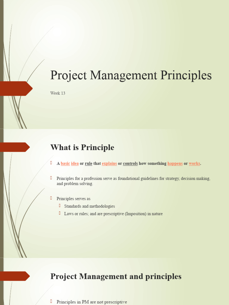 Project Management Principles Overview | PDF | Project Management ...