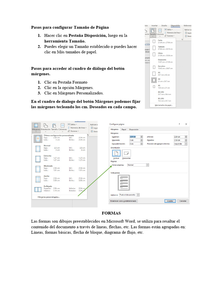 Configuración de Formatos en Word | PDF | Informática | Software