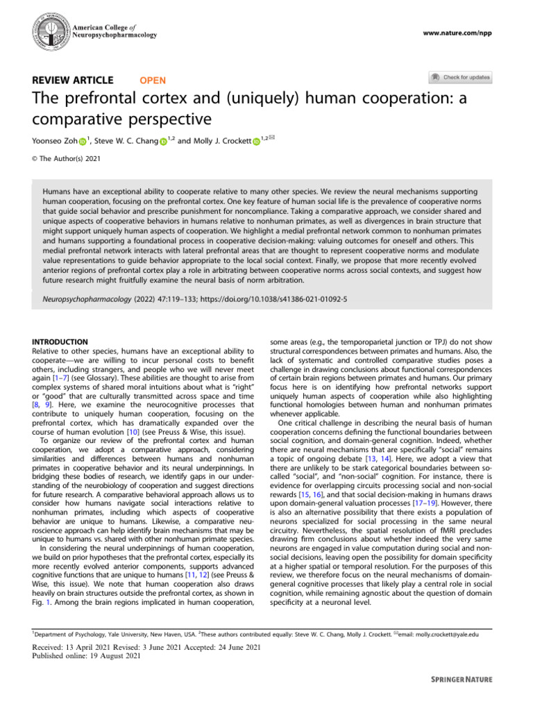 Neural Mechanisms of Human Cooperation | PDF | Prefrontal Cortex ...