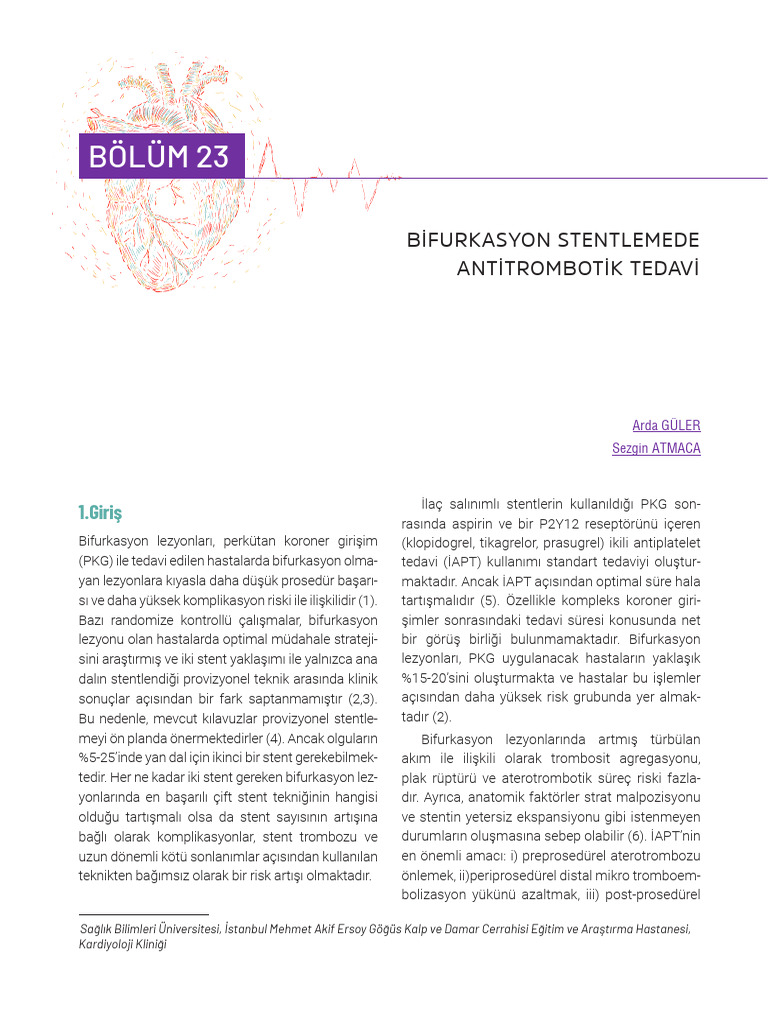 23 Arda+GÜLER-Sezgin+ATMACA | PDF