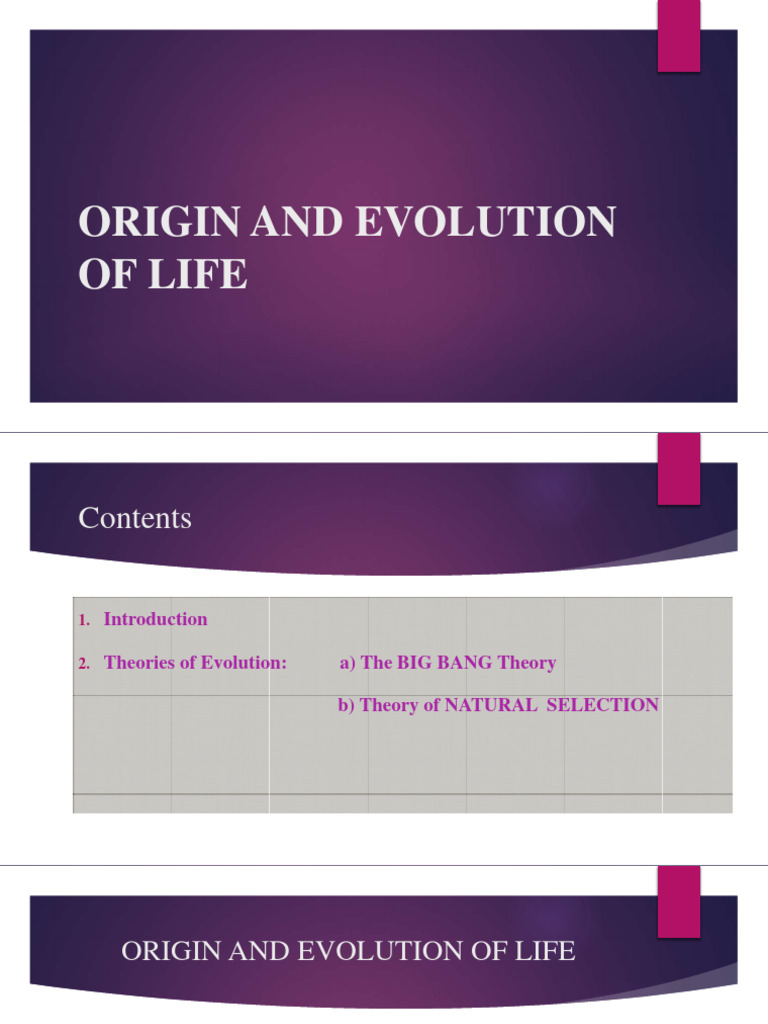 Big bang theory final pdf big bang universe