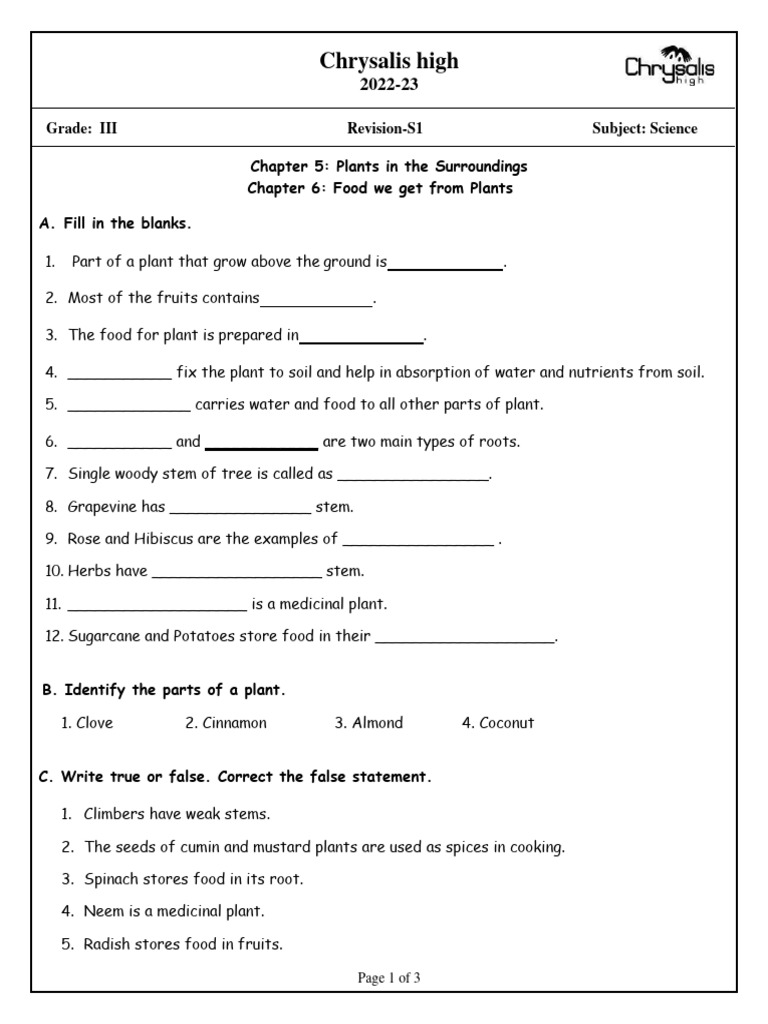 Rws Ut II Grade III Science s1 3 | PDF | Plant Stem | Leaf