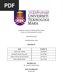 Aud339 Assignment Group