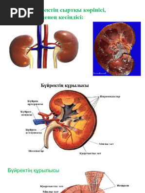 Эротикалық суреттері бар сағаттар