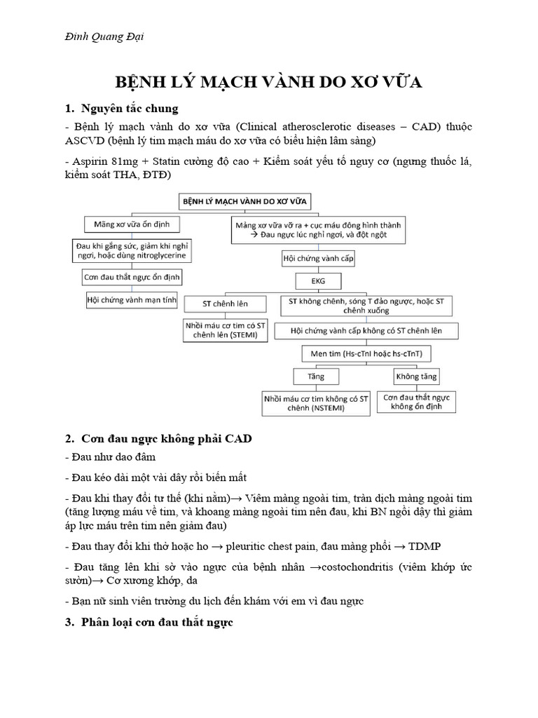 Điều trị HCVM | PDF