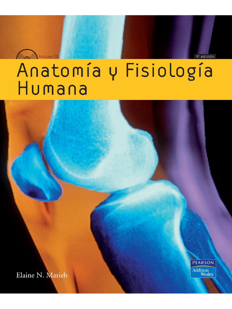 Anatomy intelligence overview