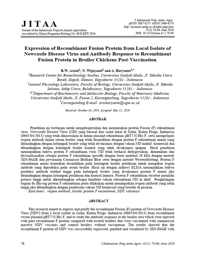 Expression of Recombinant Fusion Protein | PDF | Antibody | Vaccines