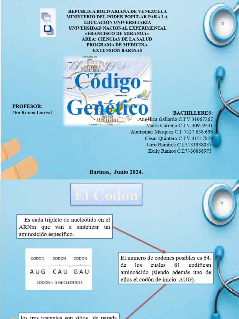 EL Codon | PDF | Codigo genetico | Traducción (biología)
