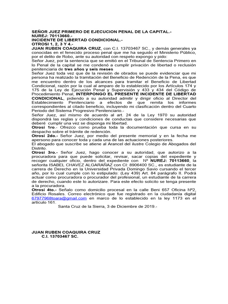 Señor Juez Primero de Ejecucion Penal de La Capital | PDF | Pena ...