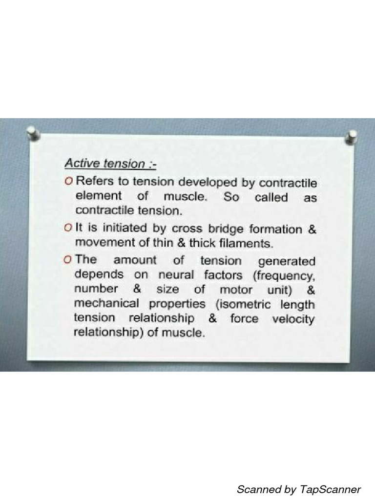 1 active passive muscle tension pdf