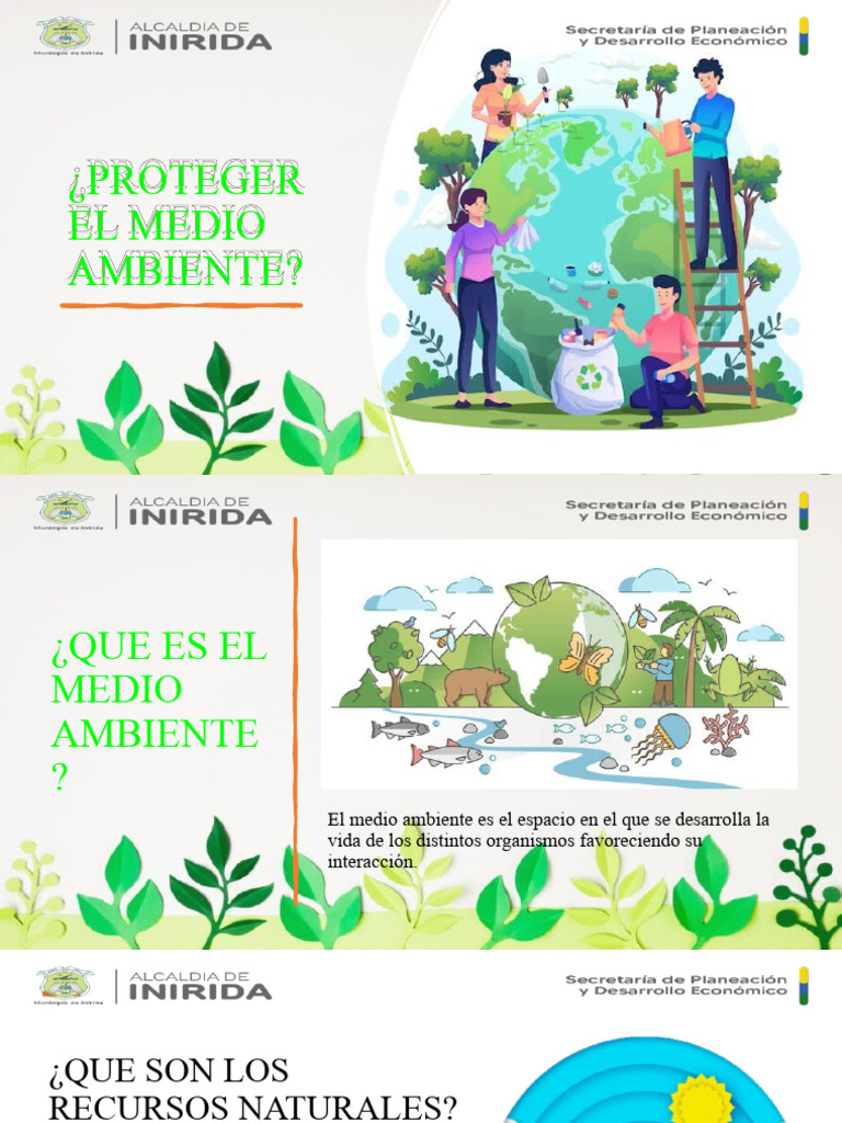Cuidado y Protección del Medio Ambiente | PDF | Hogar, jardinería y ...