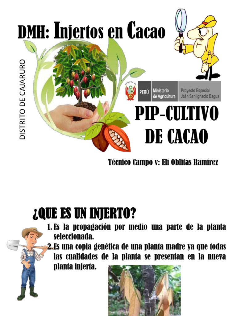 DMH Injertos | PDF | Injerto | Tallo de la planta