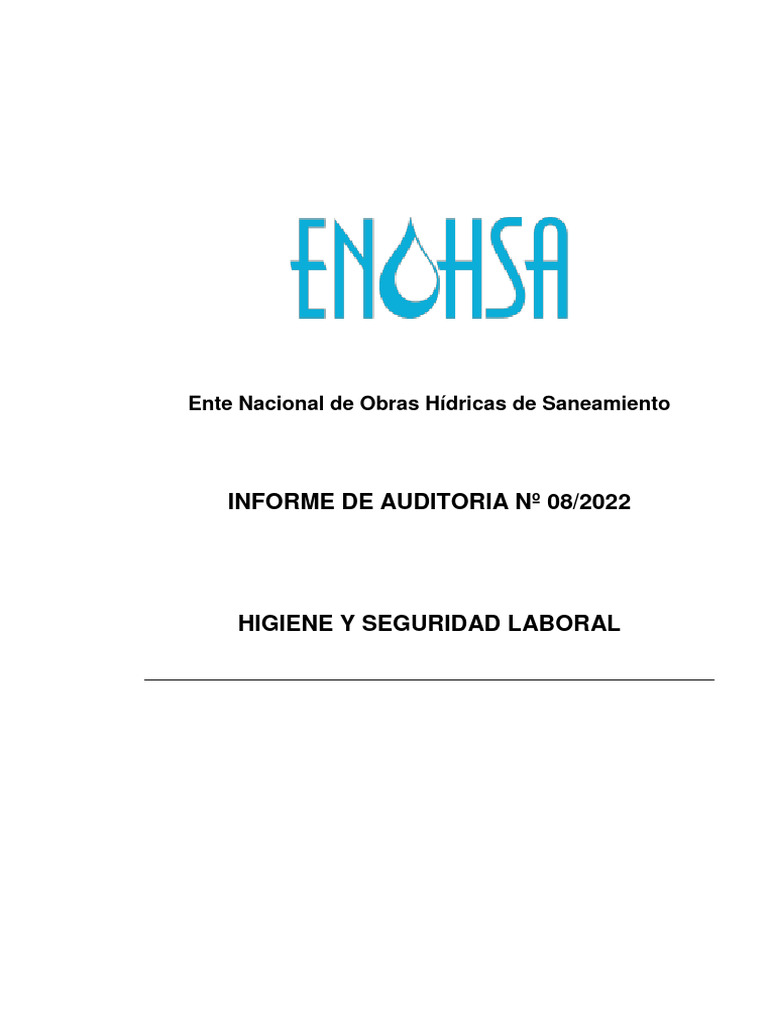 Informe de Auditoría: Higiene y Seguridad Laboral | PDF | Seguridad y ...