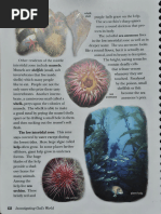 SEA STAR FACTS visual data 7