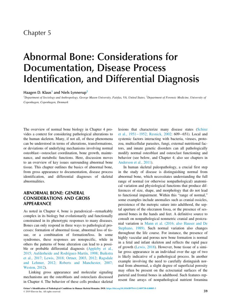 Acutane And Bone Health A Comprehensive Guide To Risks And Prevention - 6ngq16u