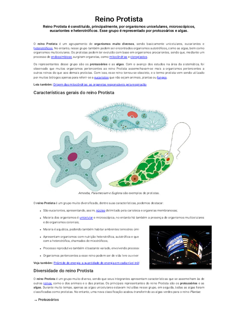 Características do Reino Protista | PDF | Protozoários | Eucariotas
