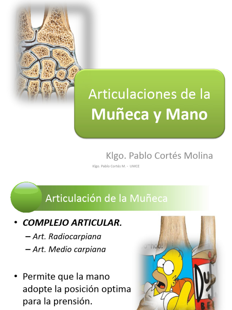 Anatomía y Movimientos de la Muñeca | PDF | Articulación | Mano