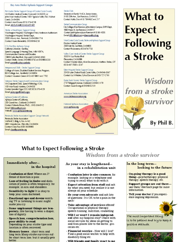 Stroke Recovery: What to Expect | PDF