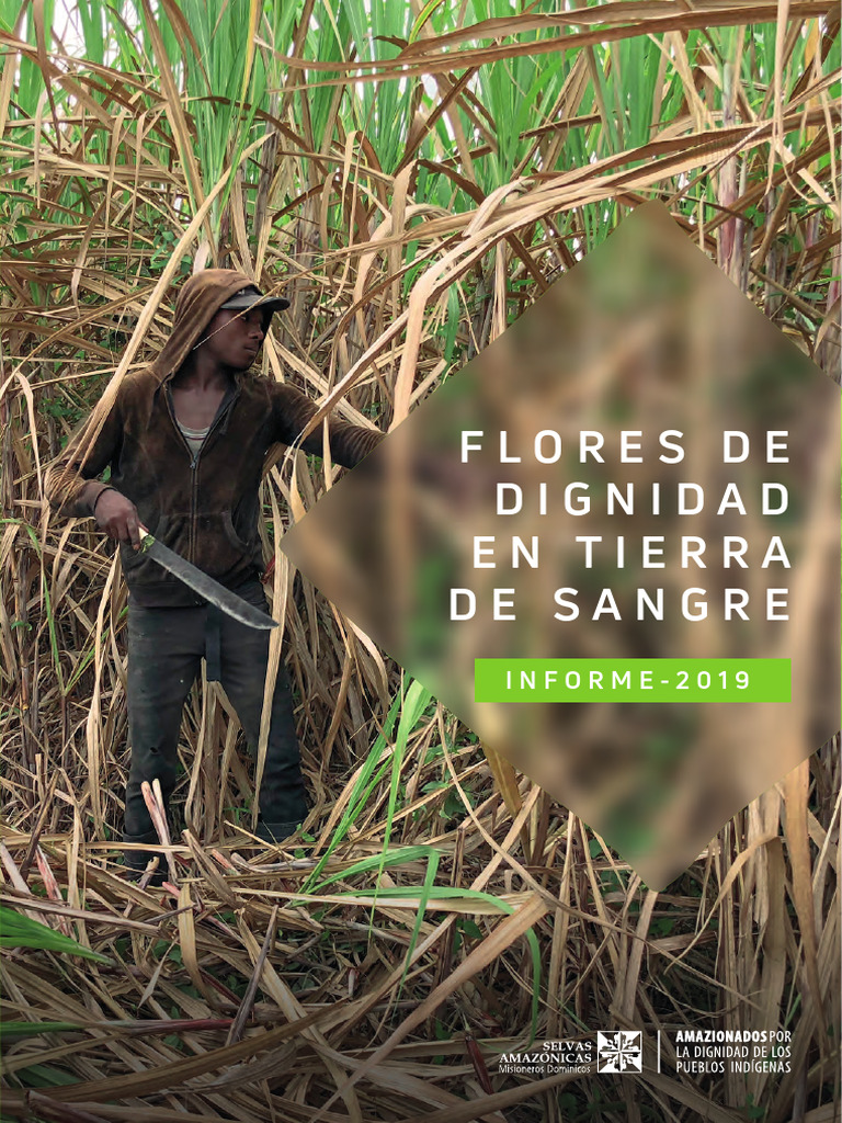 Informe FloresDeDignidad-9 6mb | PDF | Dignidad