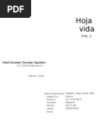 Hoja de Vida Heidi