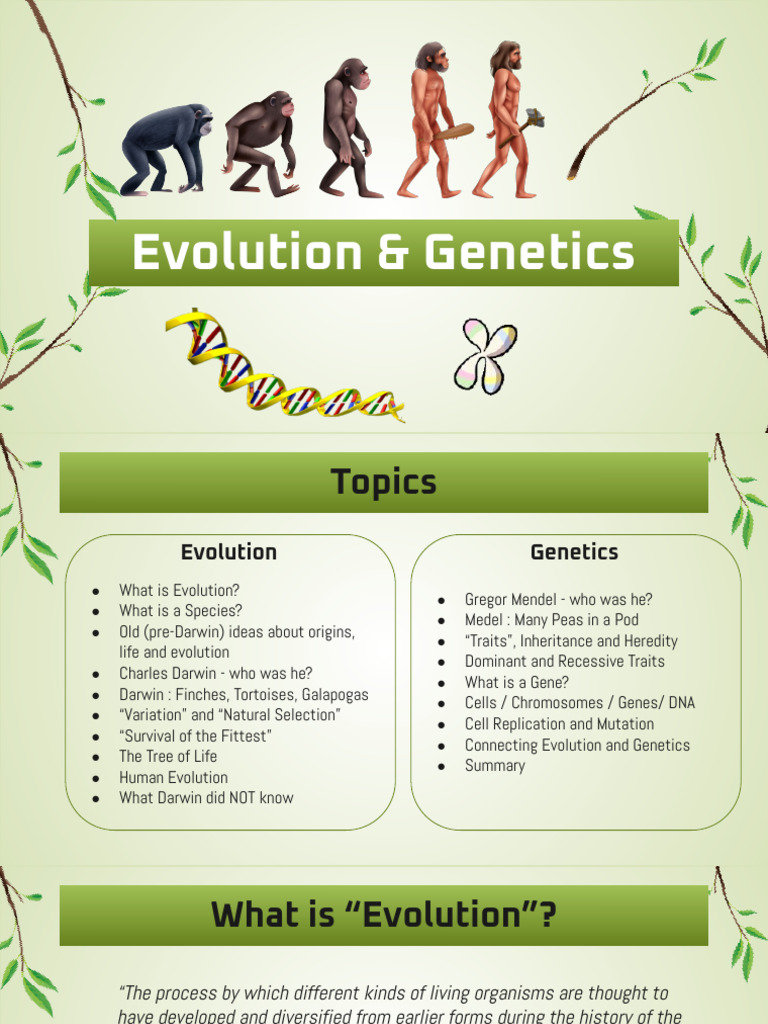 Evolution and Genetics | PDF | Evolution | Genetics