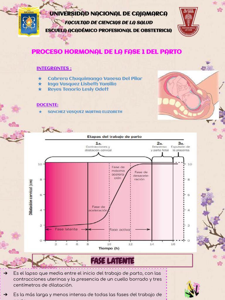 Endocrinologia de Las Fases Del Parto - C3 | PDF | Parto | Hormona ...