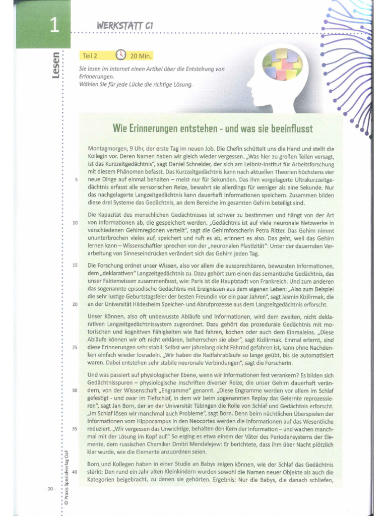 Werkstatt C1 Neu 2024 Lesen Teil 2 | PDF