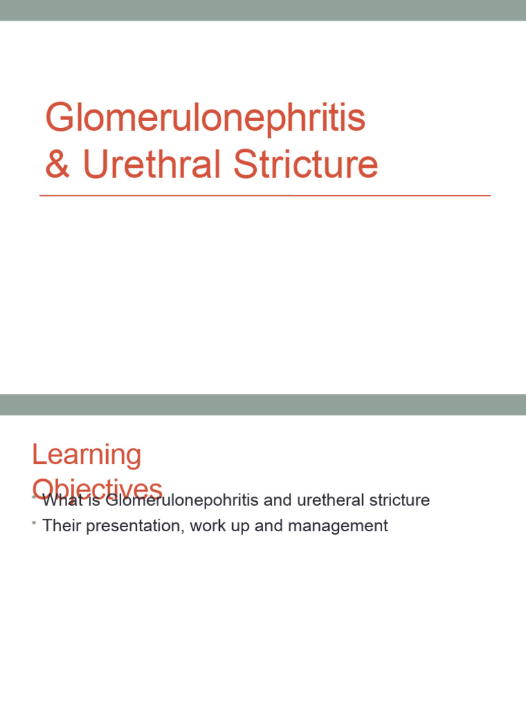 Glomerulonephritis & Urethral Stricture | PDF | Kidney Disease ...