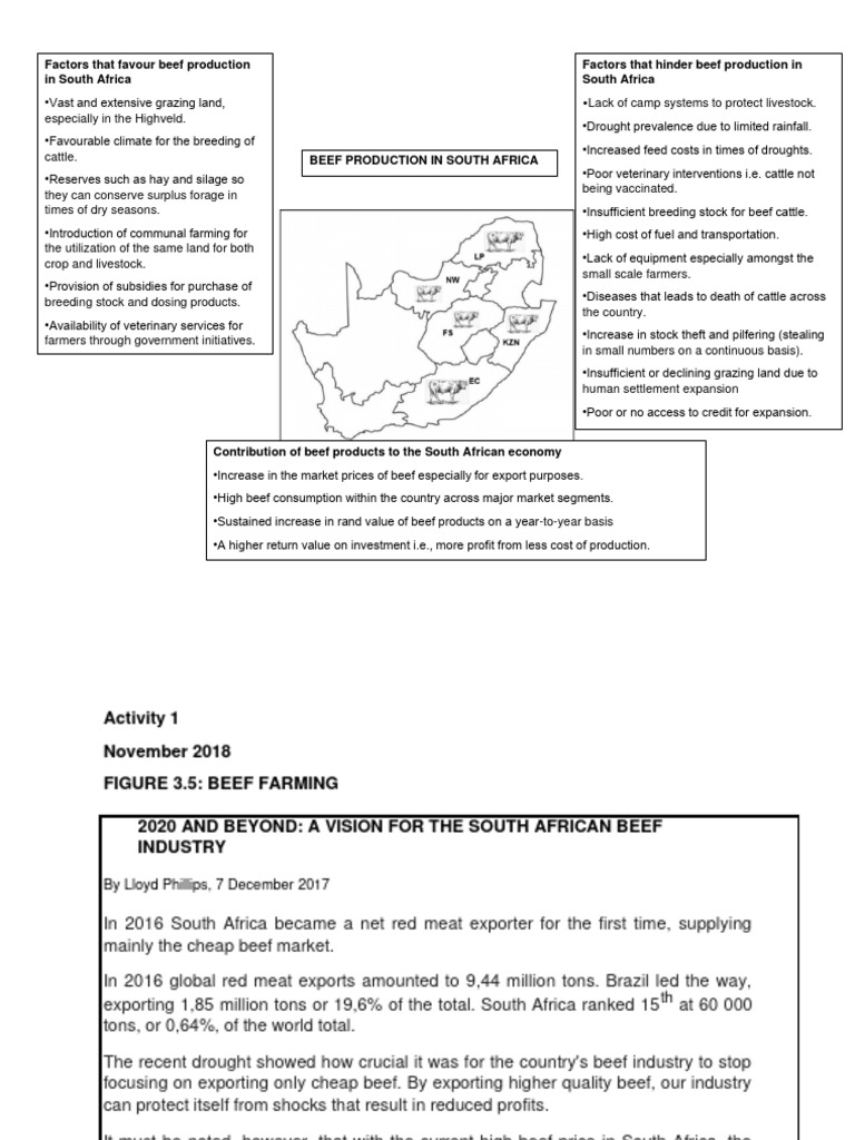 Challenges and Opportunities in SA Beef Production | PDF | Agriculture ...