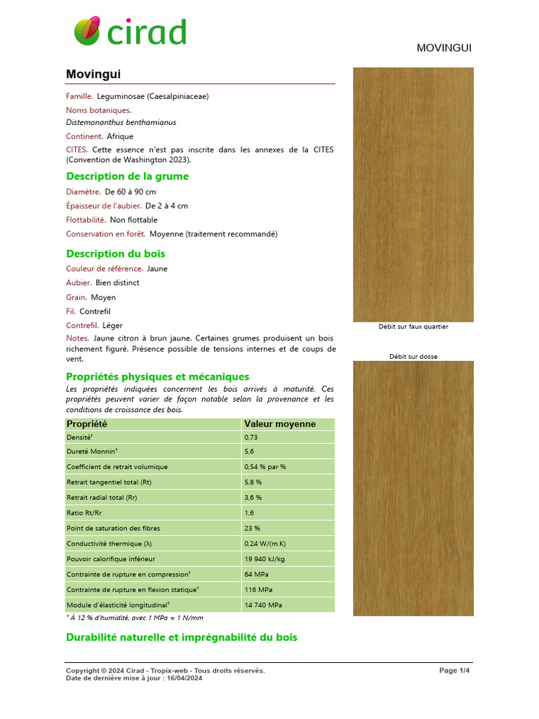 Movingui 2023 PDF Bois — free download