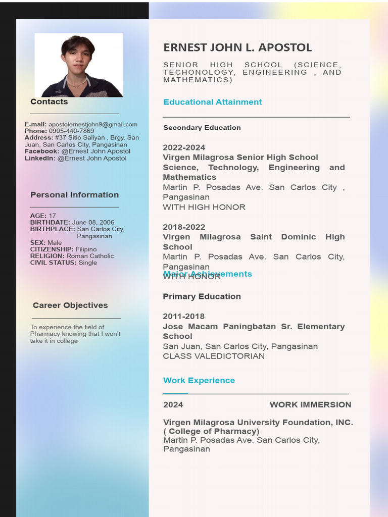 CV (Immersion) | PDF