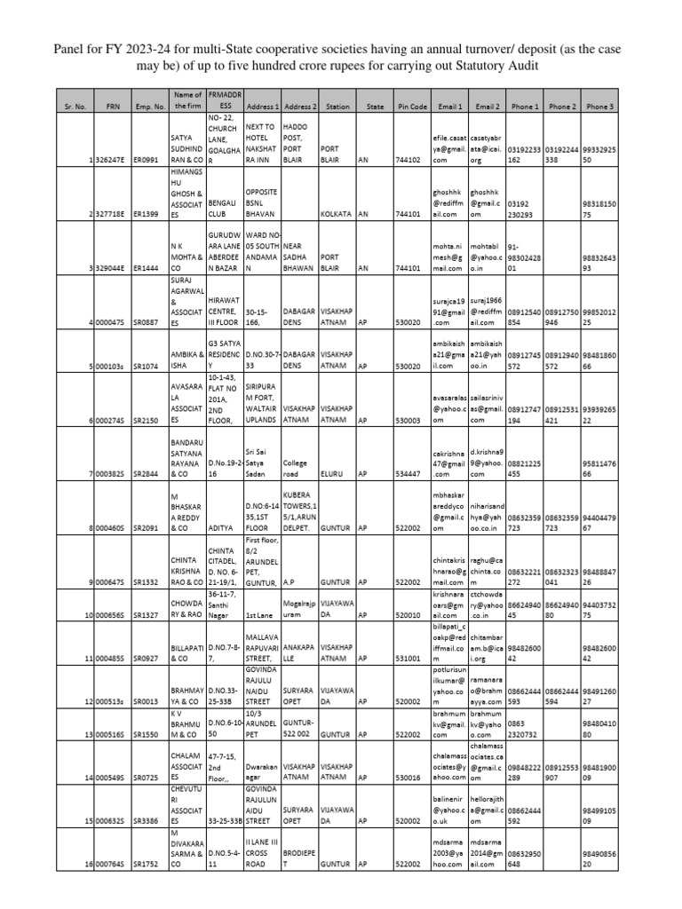 Statutory Audit Panel FY 2023-24 | PDF