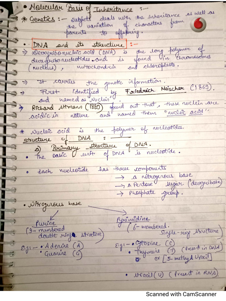 Biology CW | PDF