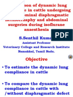 Senthil ISVS 2011 Lung Compliance FINAL