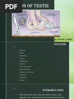 Prehn Sign | PDF | Sexual Anatomy | Male Genital Disorders
