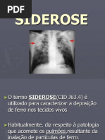 Trabalho de Siderose-grupo44