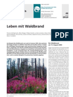 Leben Mit Waldbrand - WSL Merkblatt Für Die Praxis