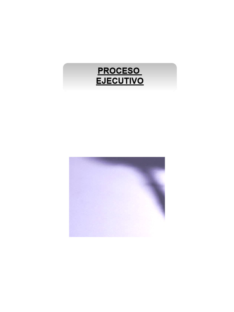 06 Proceso Ejecutivo | PDF | Abogado | Demanda judicial