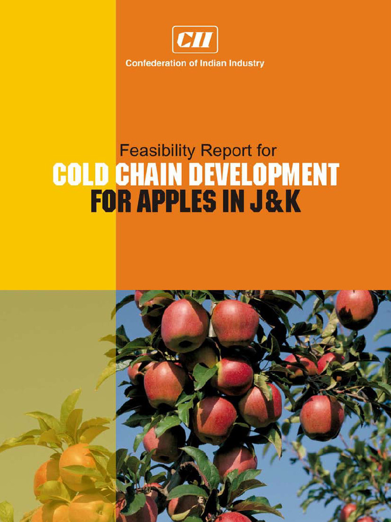 JK Apples Report | PDF | Building Insulation | Debt