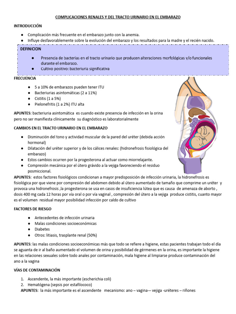 complicaciones-renales-y-del-tracto-urinario-en-el-embarazo-pdf