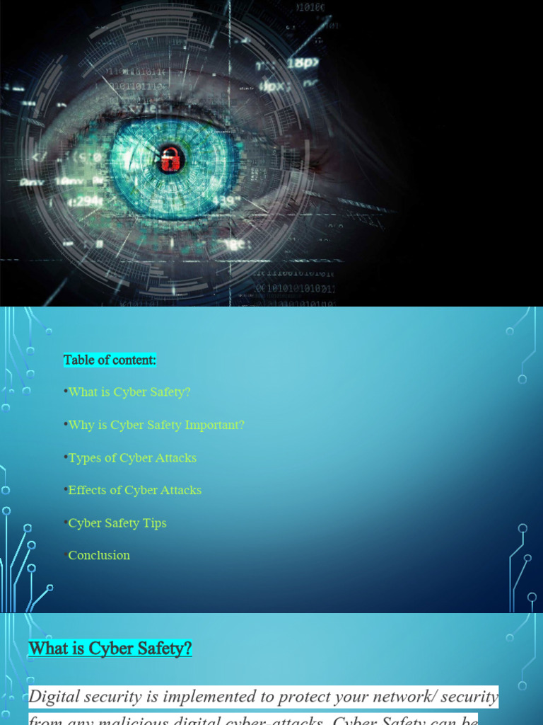 Class 11 Computer Assignment | PDF | Security | Computer Security