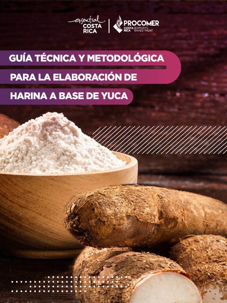 Guía Para Elaborar Harina De Yuca Pdf Ciencia Y Matemáticas 