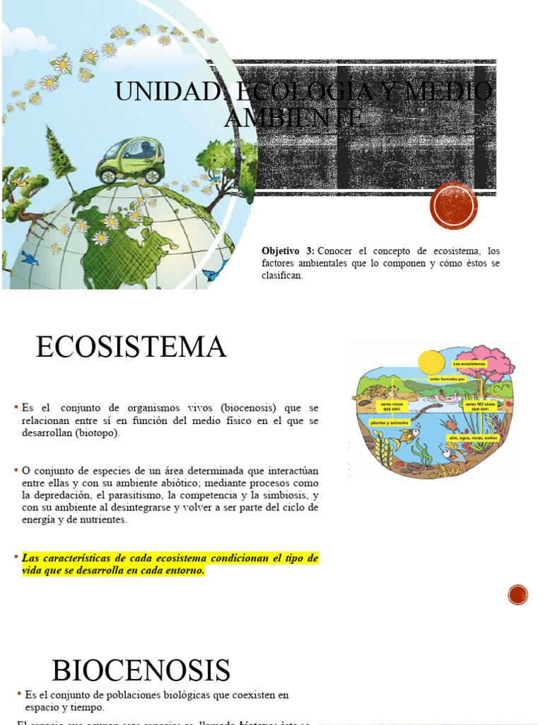 Conceptos y Clasificación de Ecosistemas | PDF | Ecosistema | Ecología