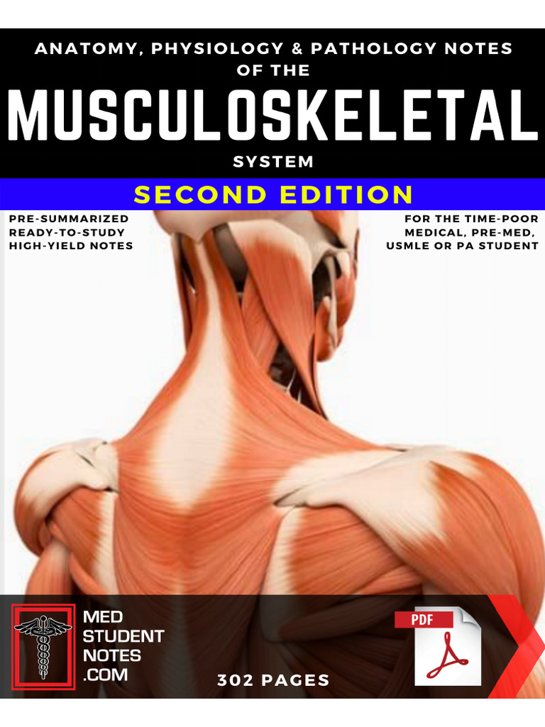 Musculoskeletal System Notes ATF | PDF | Vertebra | Bone